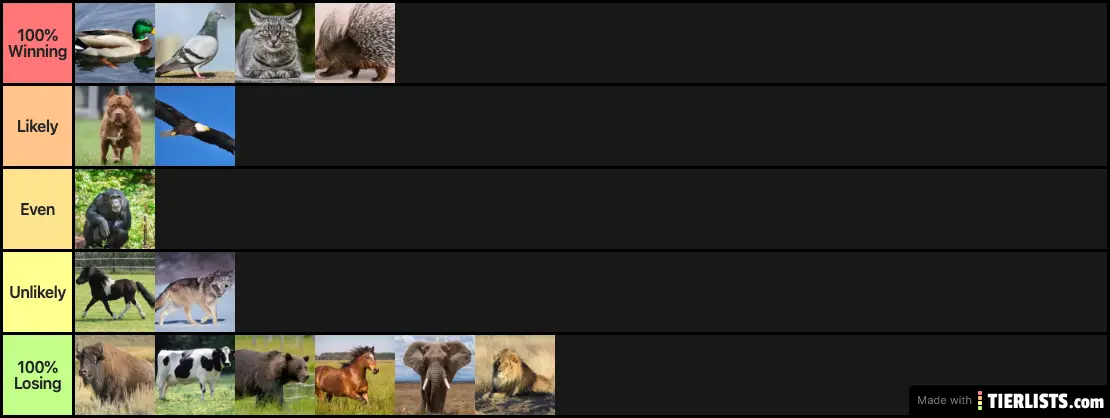 Animals You Could Beat In a Fight Tier List Maker - TierLists.com