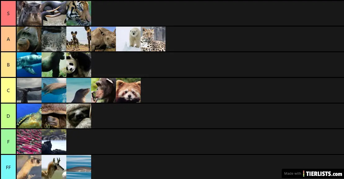 Endangered Animals Tier List Maker - TierLists.com